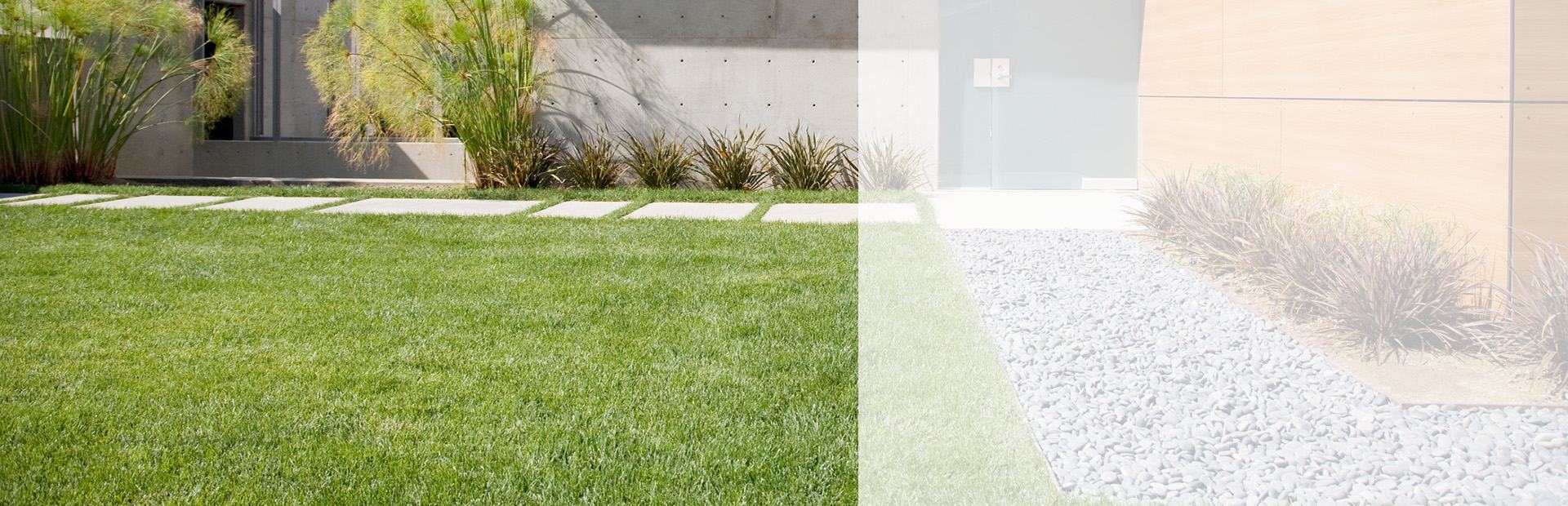 zielony trawnik, biały grys, trawy