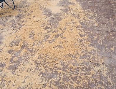 kostka brukowa, bordowa 1