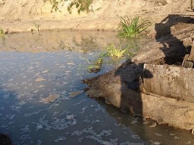 oczko-wodne-budowa-7